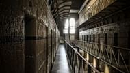 Capone admitted to killing Anderson to Brent Glass in jail(Image via Unsplash/ @ Michele Wales)